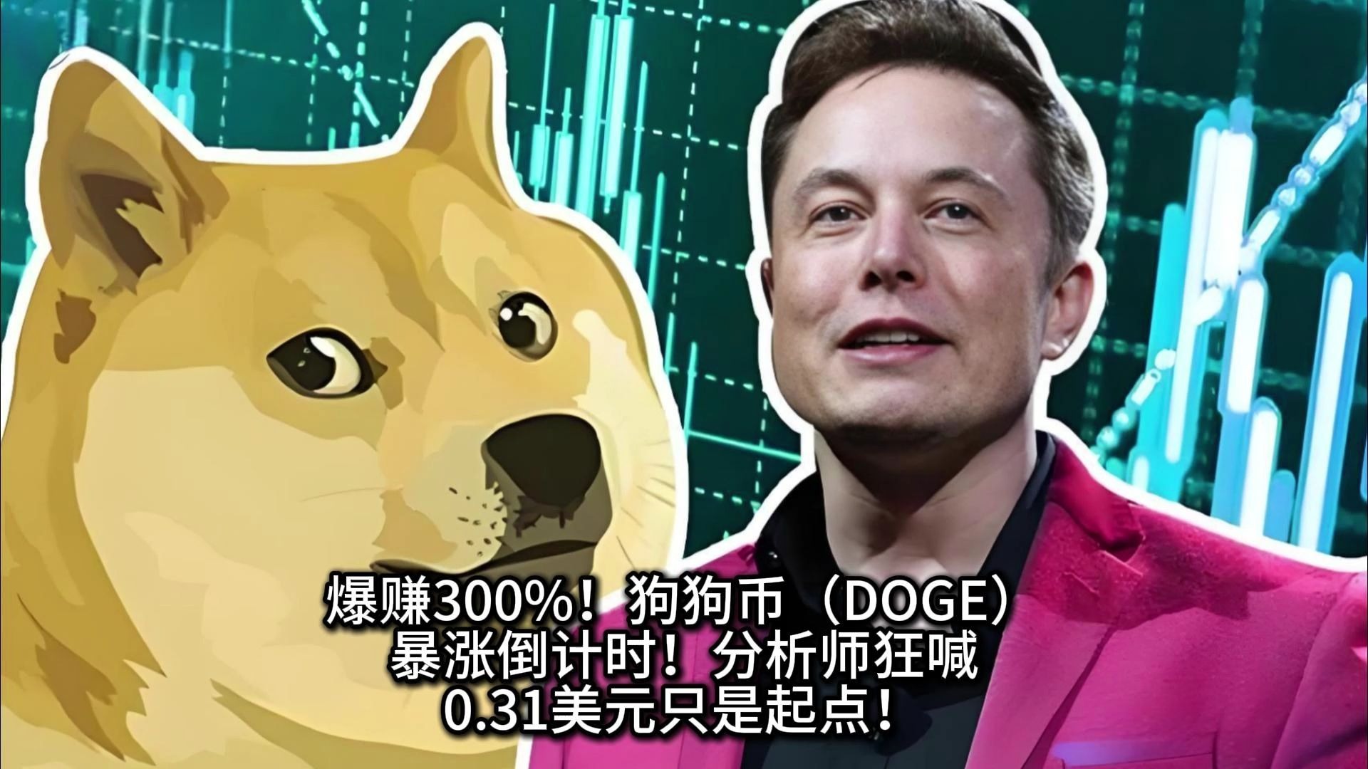 SHIB上扬势惊人，一夜飙升狗狗币%，加密市场沸腾-询问